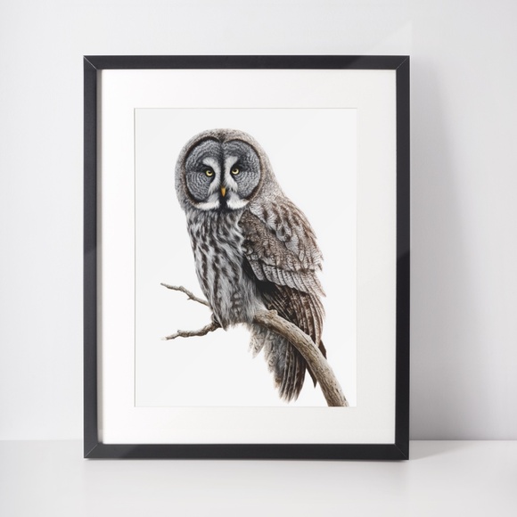 Watercolor Great Grey Owl Portrait Wall Art Print Poster, Unframed - Picture 3 of 6